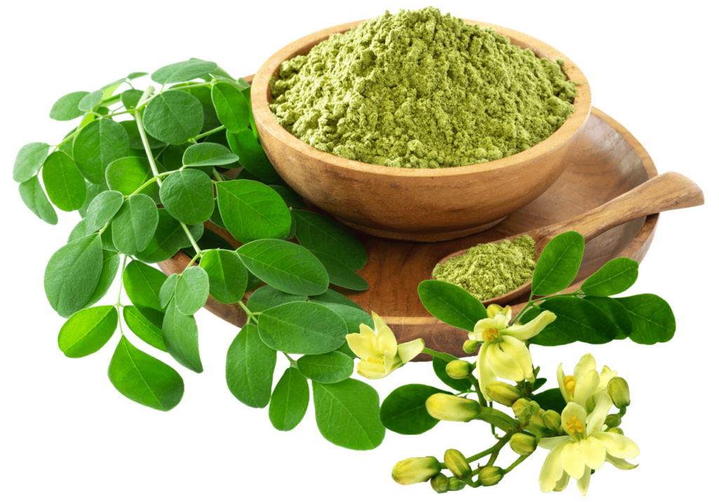 モリンガパウダー 貴宝