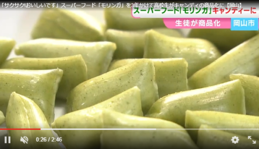 【高校生が挑戦】岡山発・モリンガキャンディが切り拓く新しい食の未来