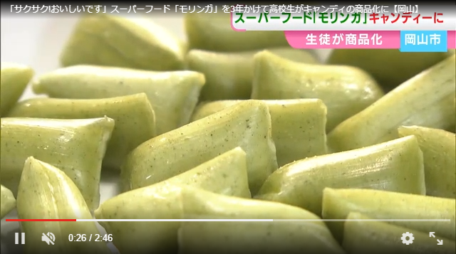 「サクサク!おいしいです」スーパーフード「モリンガ」を3年かけて高校生がキャンディの商品化に【岡山】